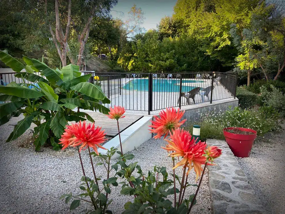 piscine-fleur-1.jpg