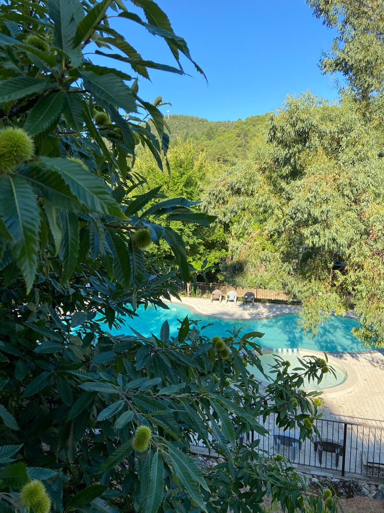 piscine-chataigne